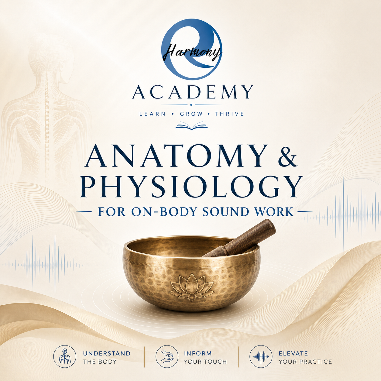 Anatomy and Physiology for On Body Sound Work - Online Course