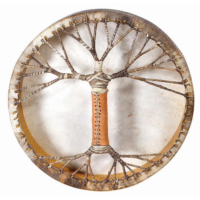 Shamanic Journey