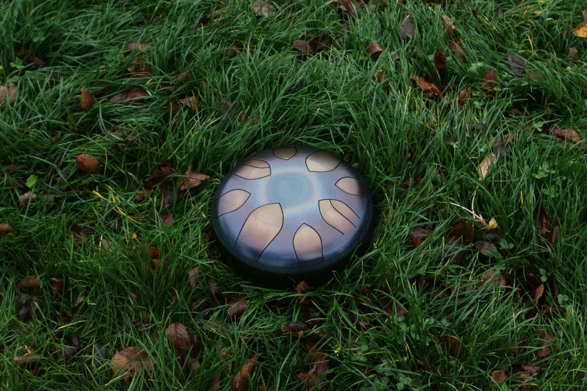 Tongue Drum - SoundNest©