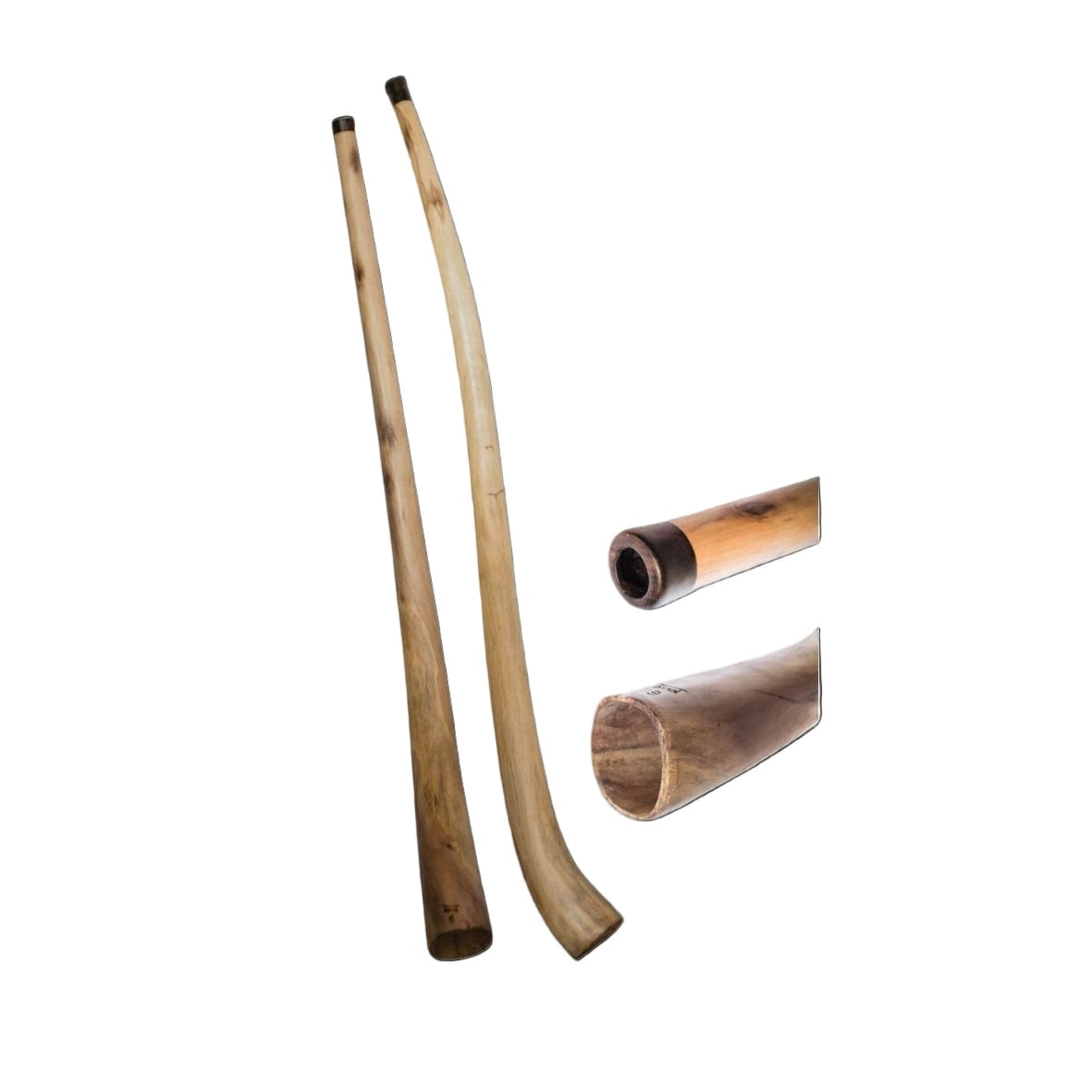 Two hibiscus wood didgeridoos (Proline Hibiscus D) with mouthpiece detail and key D marker on a white background