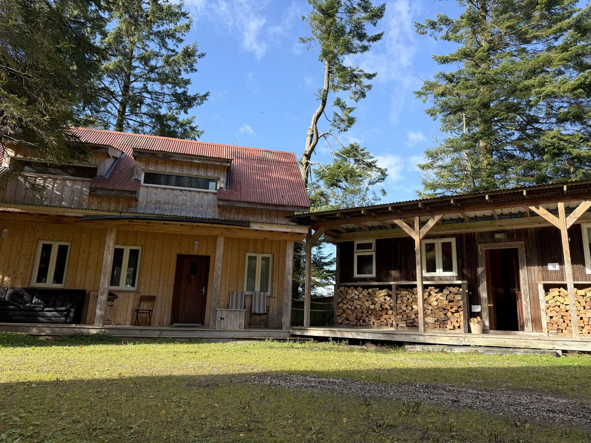 The wooden cabins at Hollyford, Co. Tipperary, on a sunny day